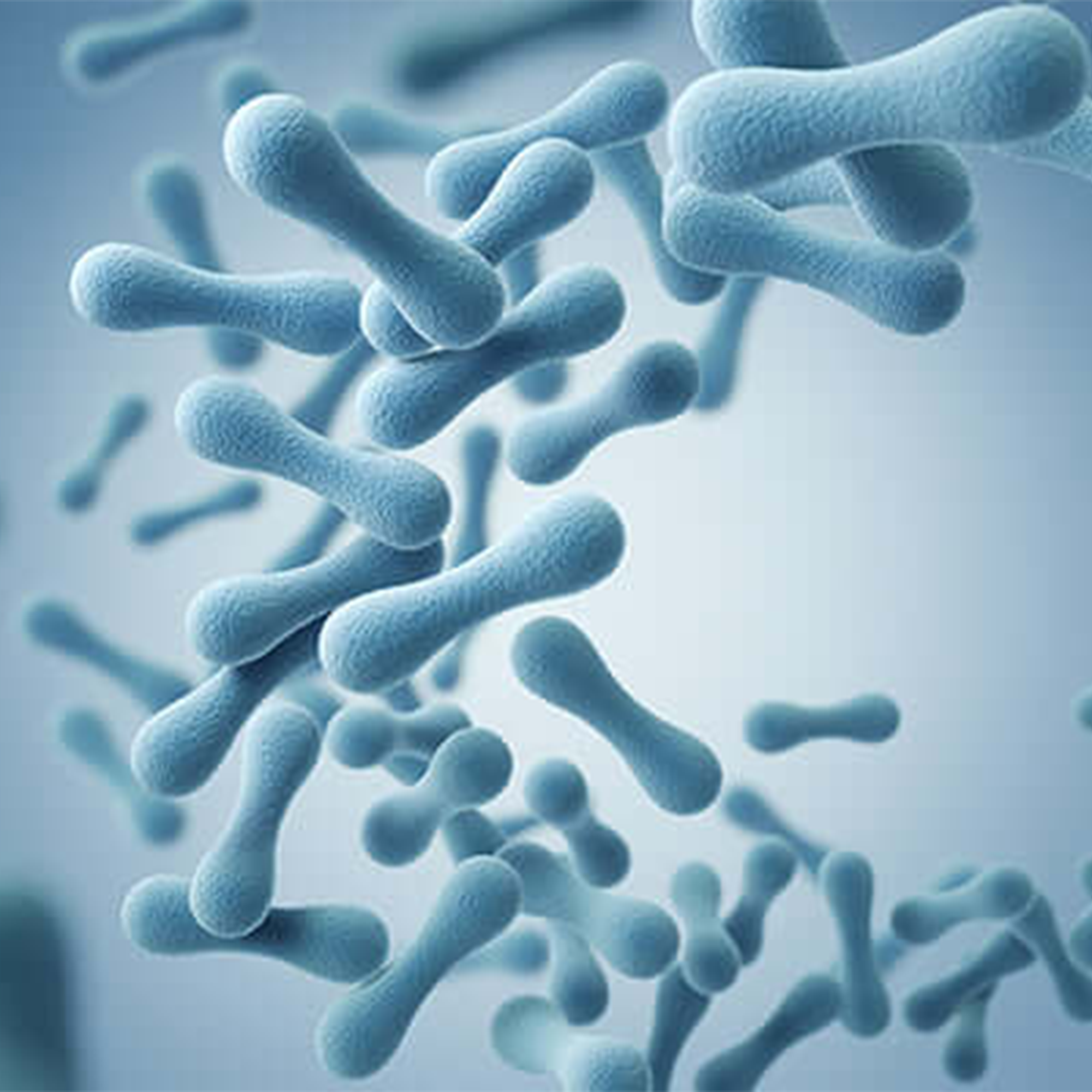 Prebiotic Fiber Blend
